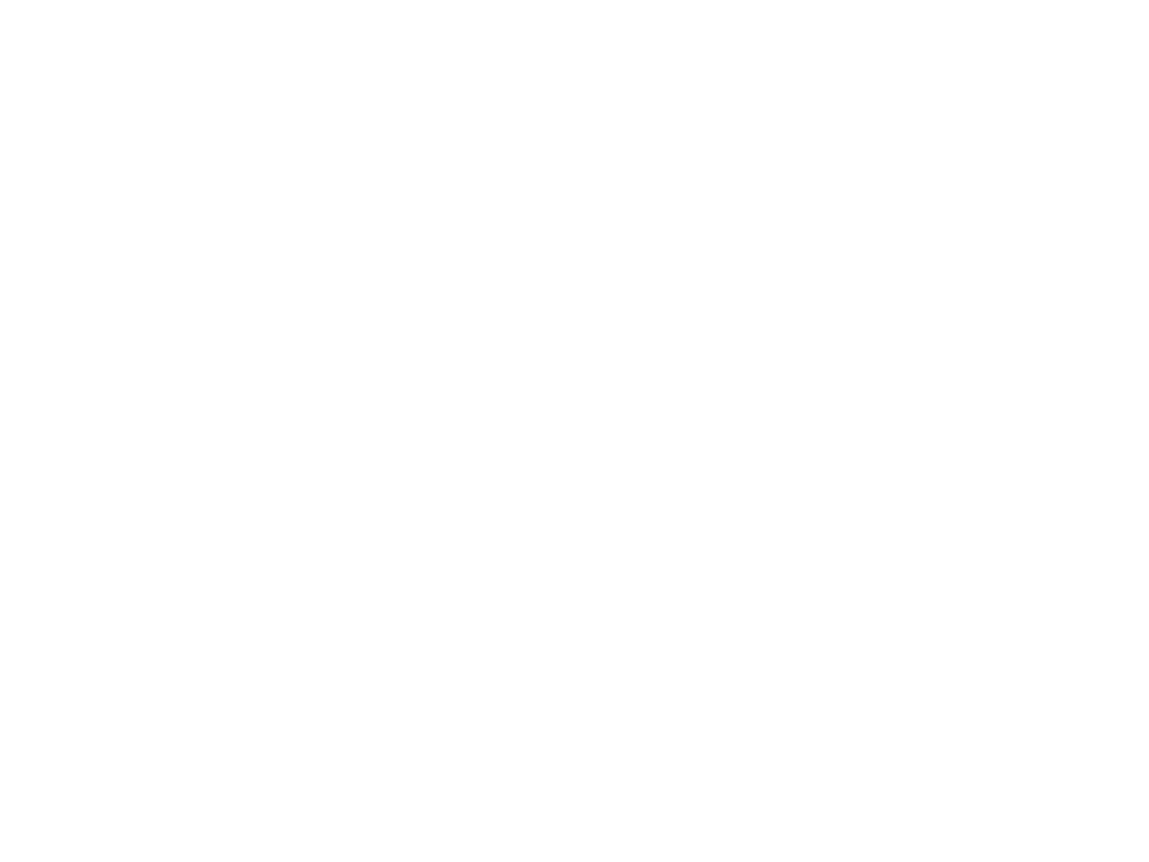 TECH FOX STUDIOS LOGO WHITE PNG